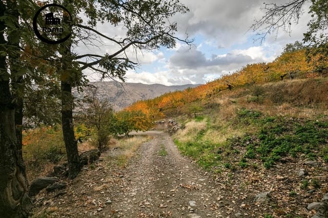 Ubebygd land til salgs i Güéjar Sierra - € 199 900 (Ref: 9778289)