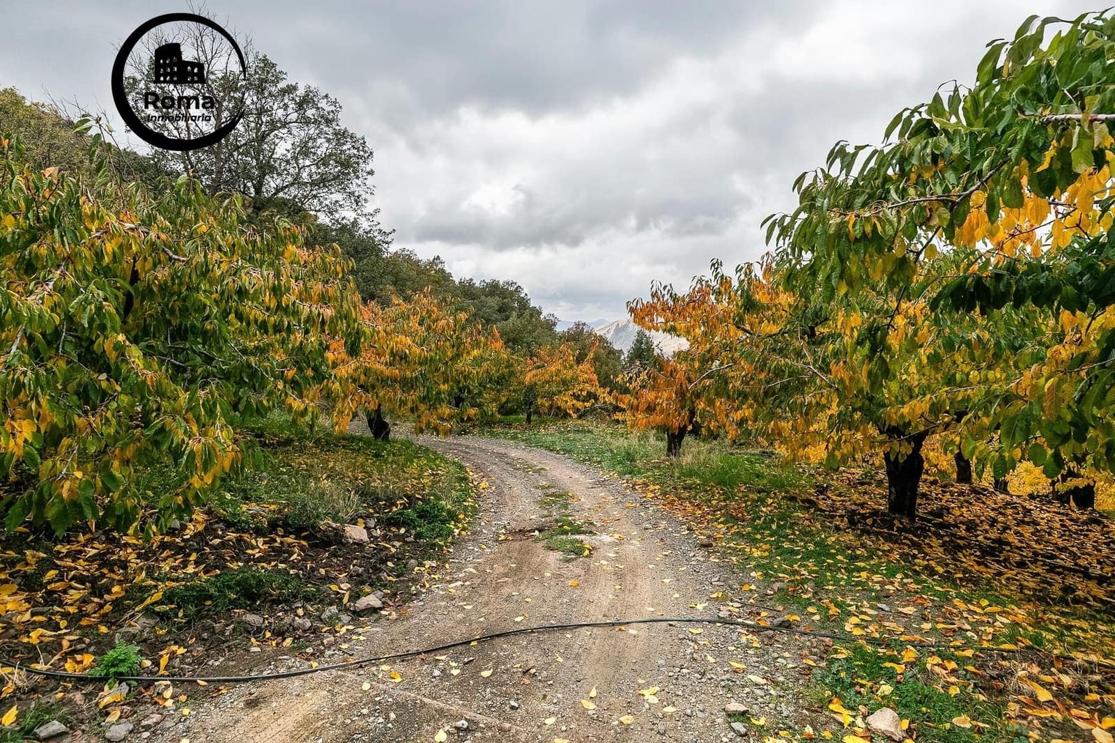 Mark till salu i Guejar Sierra - 199 900 € (Ref: 9778289)