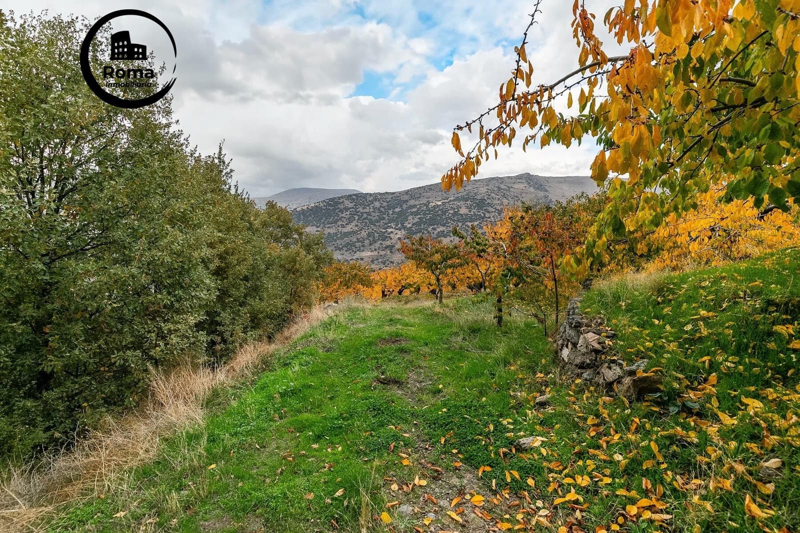 Mark till salu i Guejar Sierra - 199 900 € (Ref: 9778289)