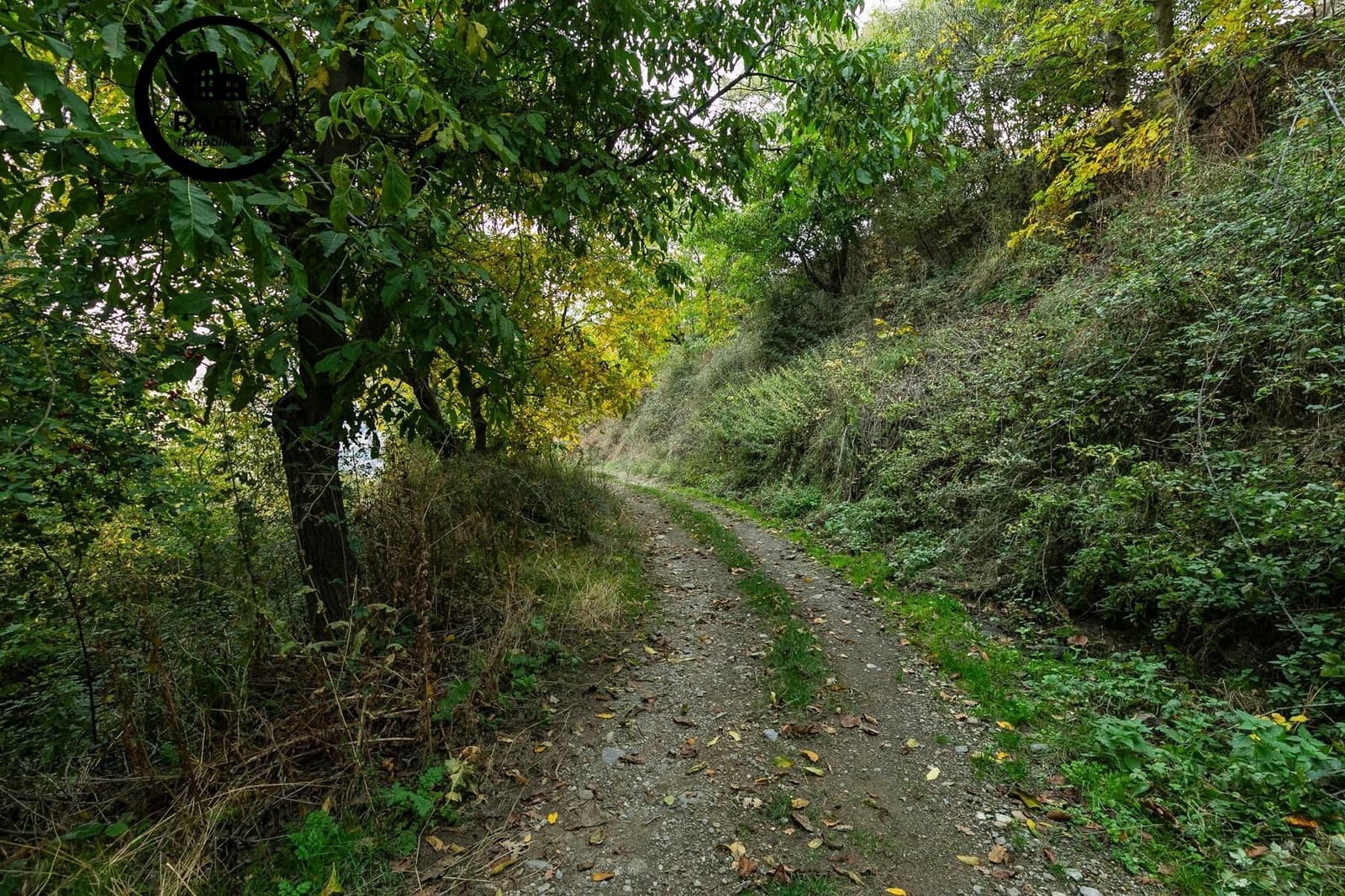 Mark till salu i Guejar Sierra - 199 900 € (Ref: 9778289)