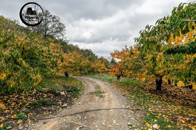 Ubebygd land til salgs i Güéjar Sierra - € 199 900 (Ref: 9778289)