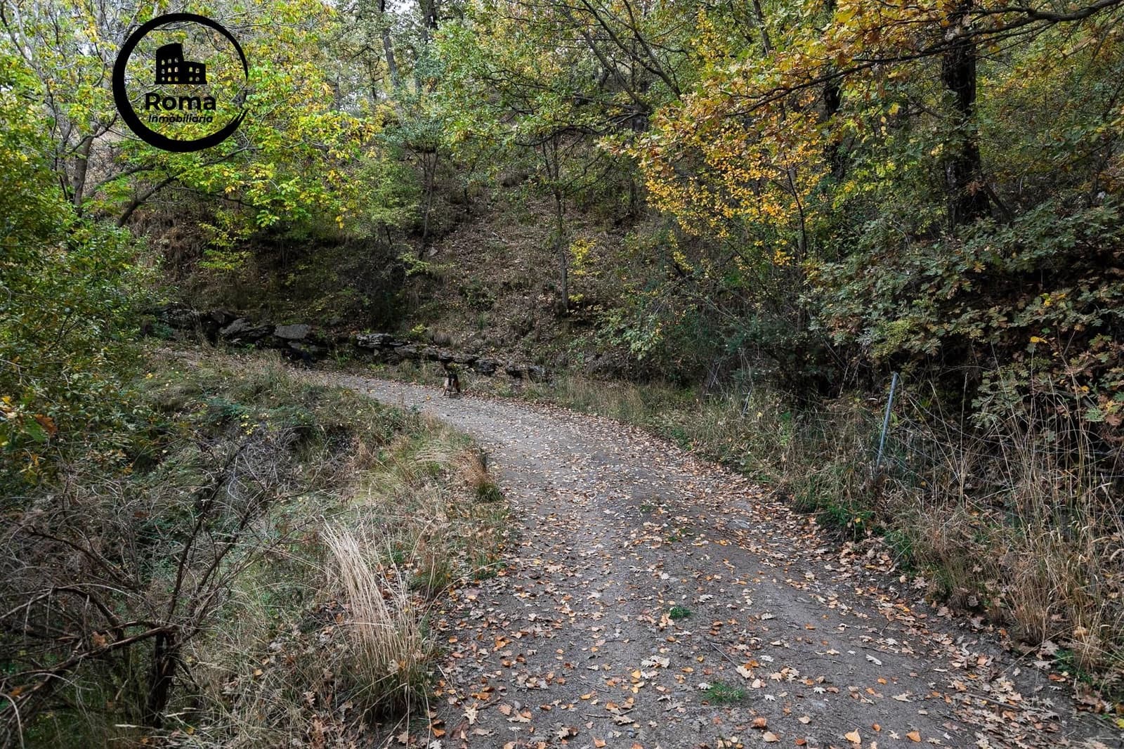 Mark till salu i Guejar Sierra - 199 900 € (Ref: 9778289)