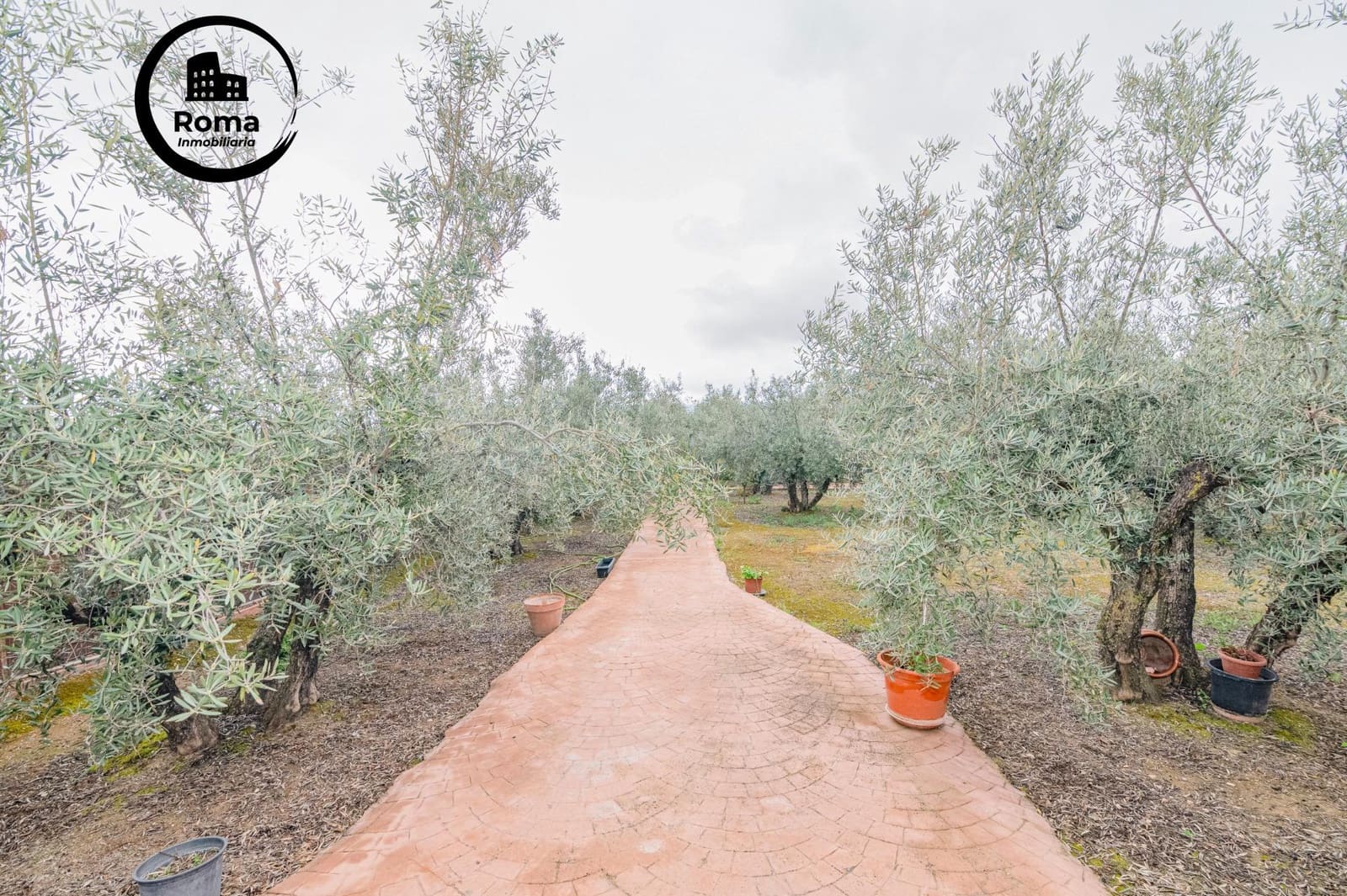 Ubebygd land til salgs i Ogijares - € 145 000 (Ref: 9785046)