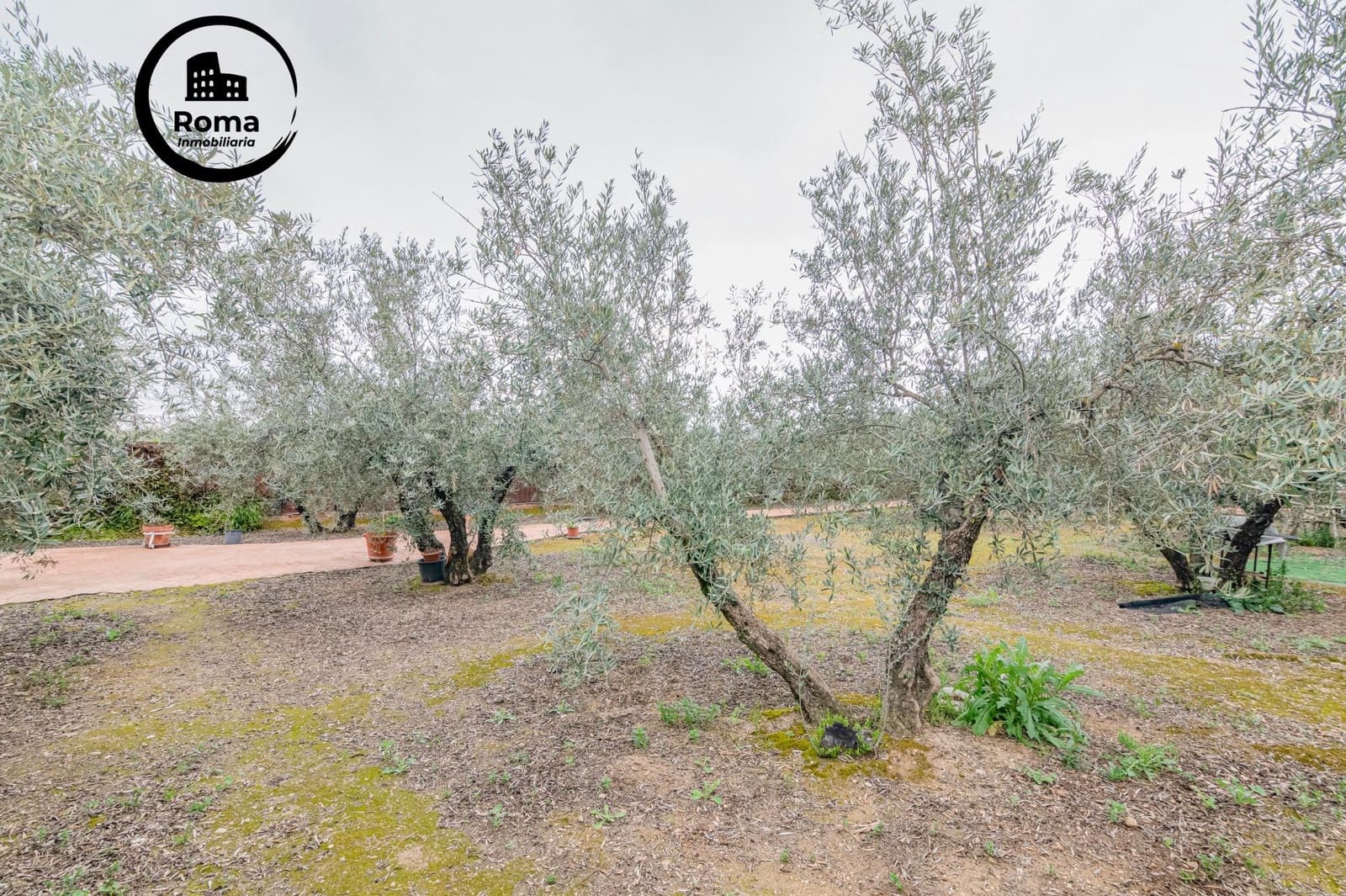 Terreno/Finca Rústica en Ogíjares en venta - 145.000 € (Ref: 9804470)