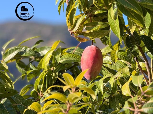 Finca/Casa Rural de 1 habitación en Los Guajares en venta con garaje - 89.900 € (Ref: 9804473)