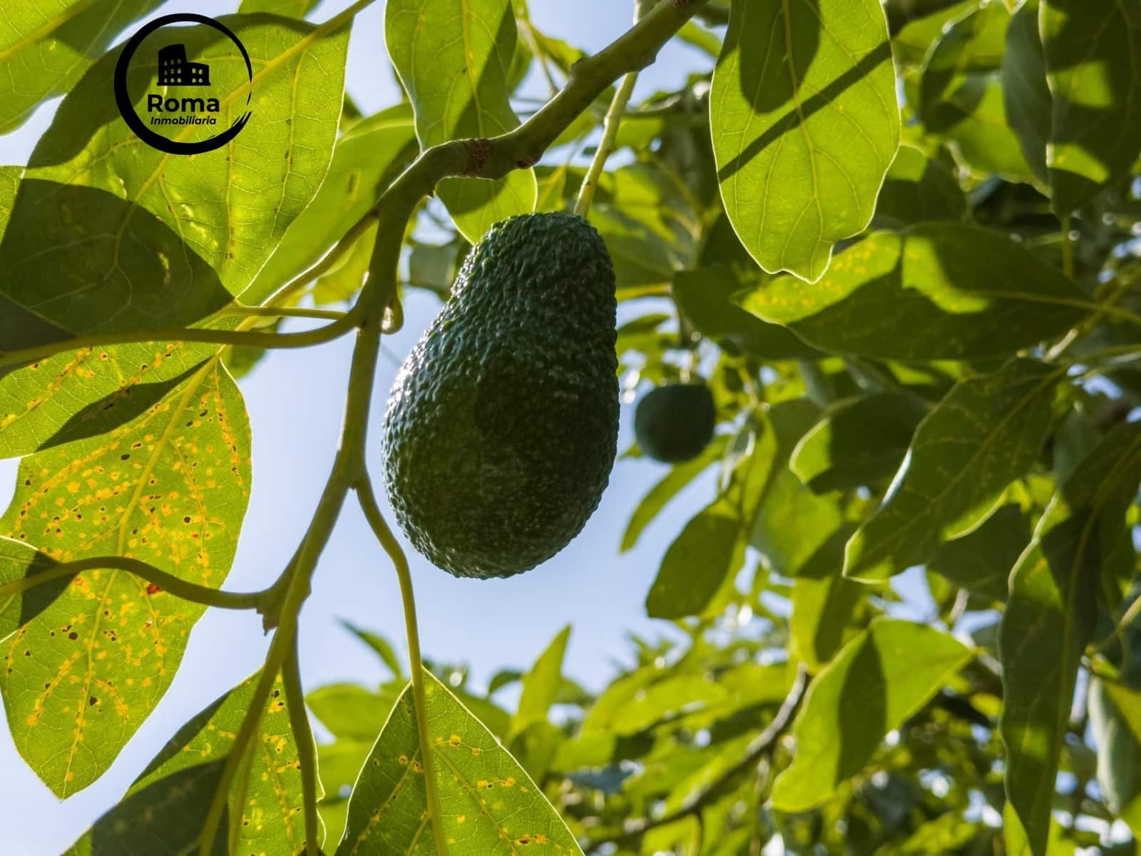 Finca/Casa Rural de 1 habitación en Los Guajares en venta con garaje - 89.900 € (Ref: 9804473)
