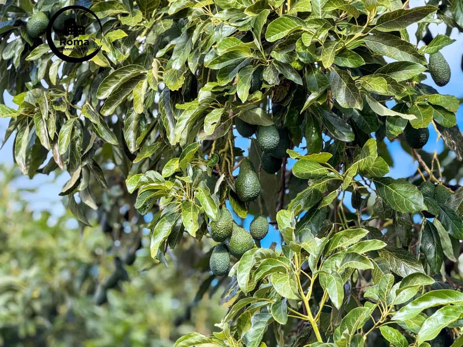 Finca/Casa Rural de 1 habitación en Los Guajares en venta con garaje - 89.900 € (Ref: 9804473)