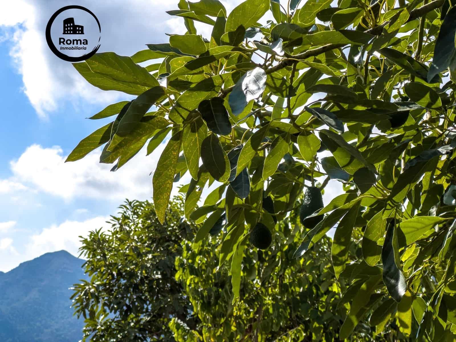 Finca/Casa Rural de 1 habitación en Los Guajares en venta con garaje - 89.900 € (Ref: 9804473)