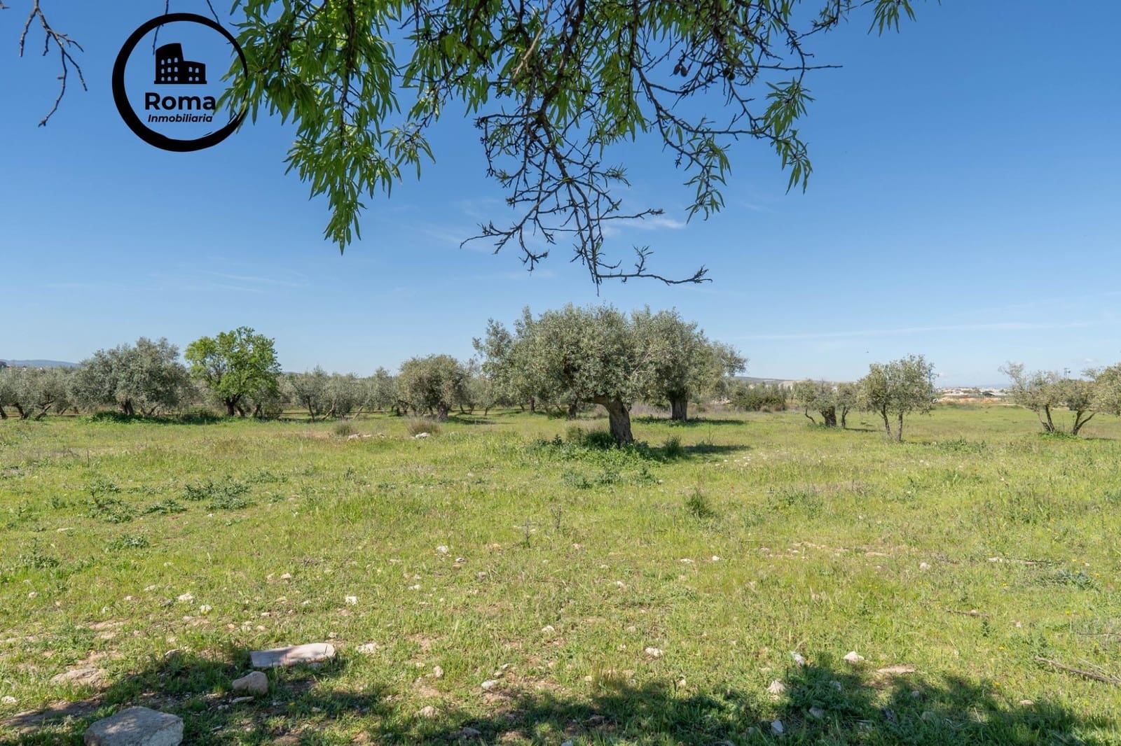 Terreno/Finca Rústica en Otura en venta - 60.000 € (Ref: 9825399)
