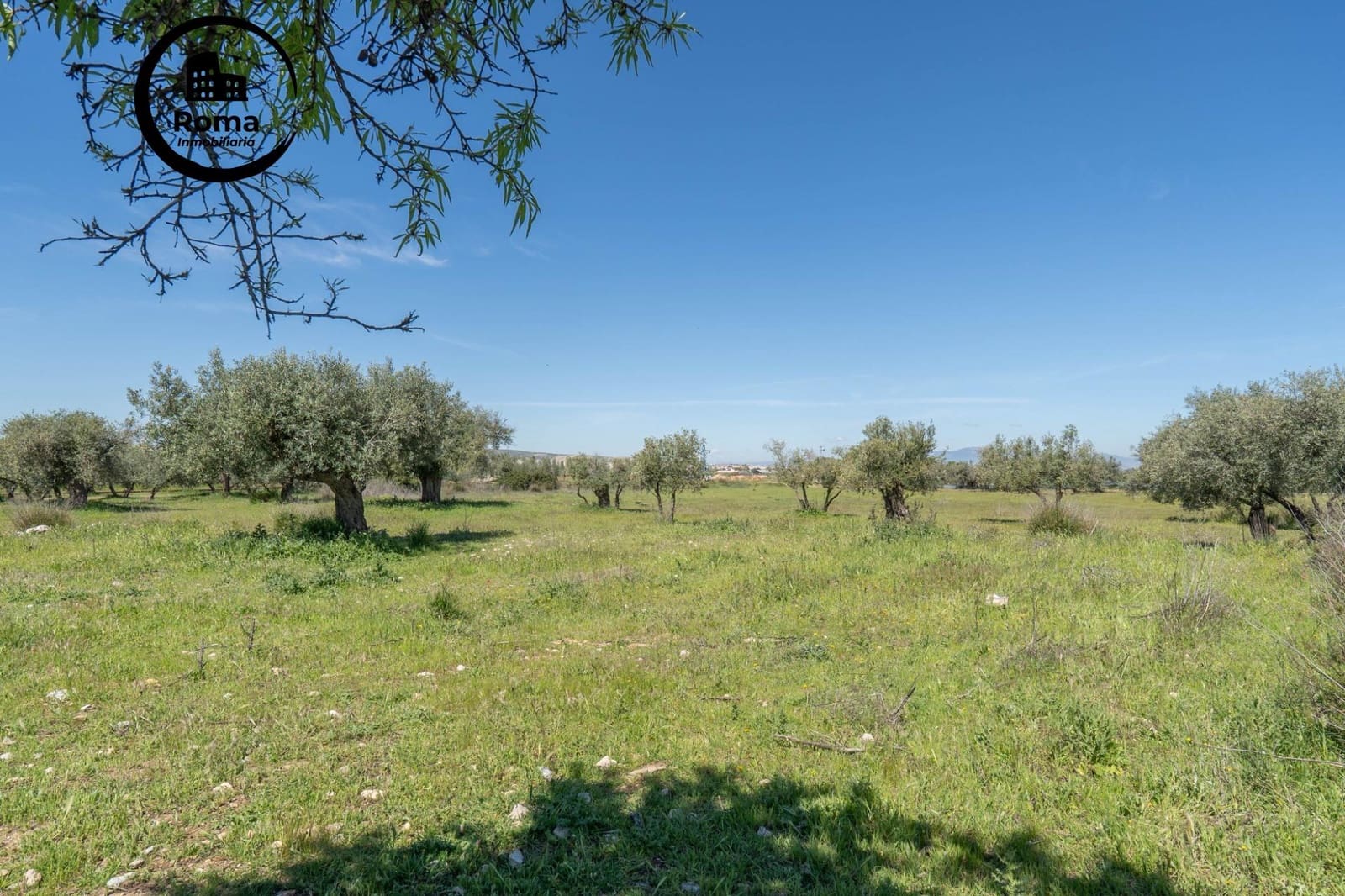 Terreno/Finca Rústica en Otura en venta - 60.000 € (Ref: 9825399)