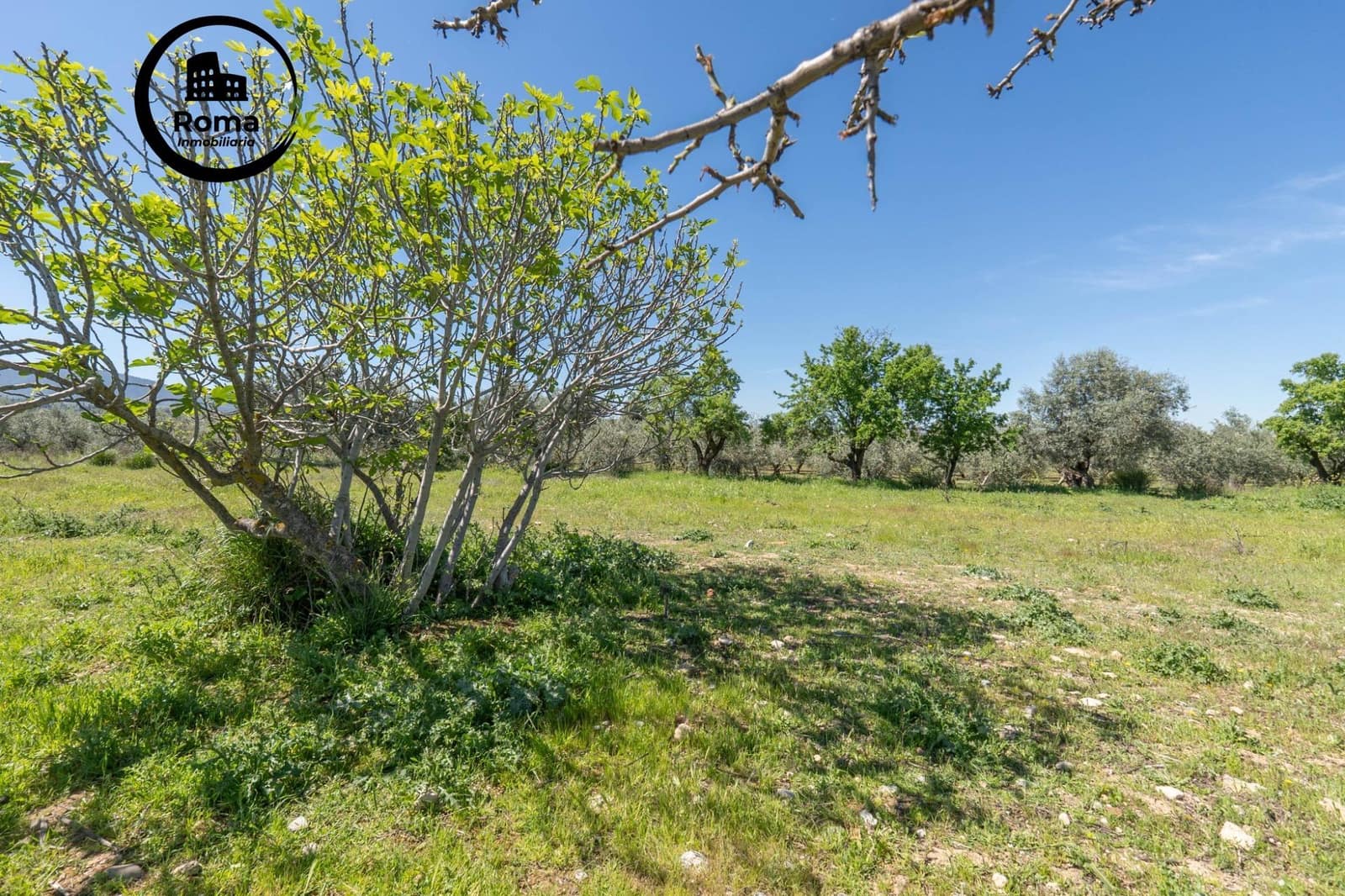 Terreno/Finca Rústica en Otura en venta - 60.000 € (Ref: 9825399)