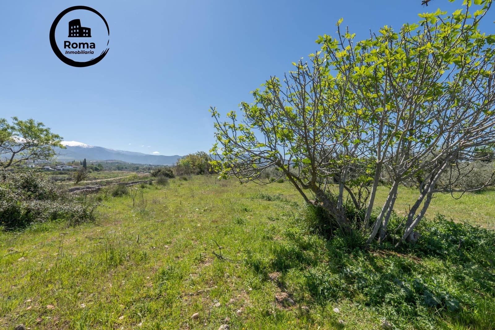 Terreno/Finca Rústica en Otura en venta - 60.000 € (Ref: 9825399)