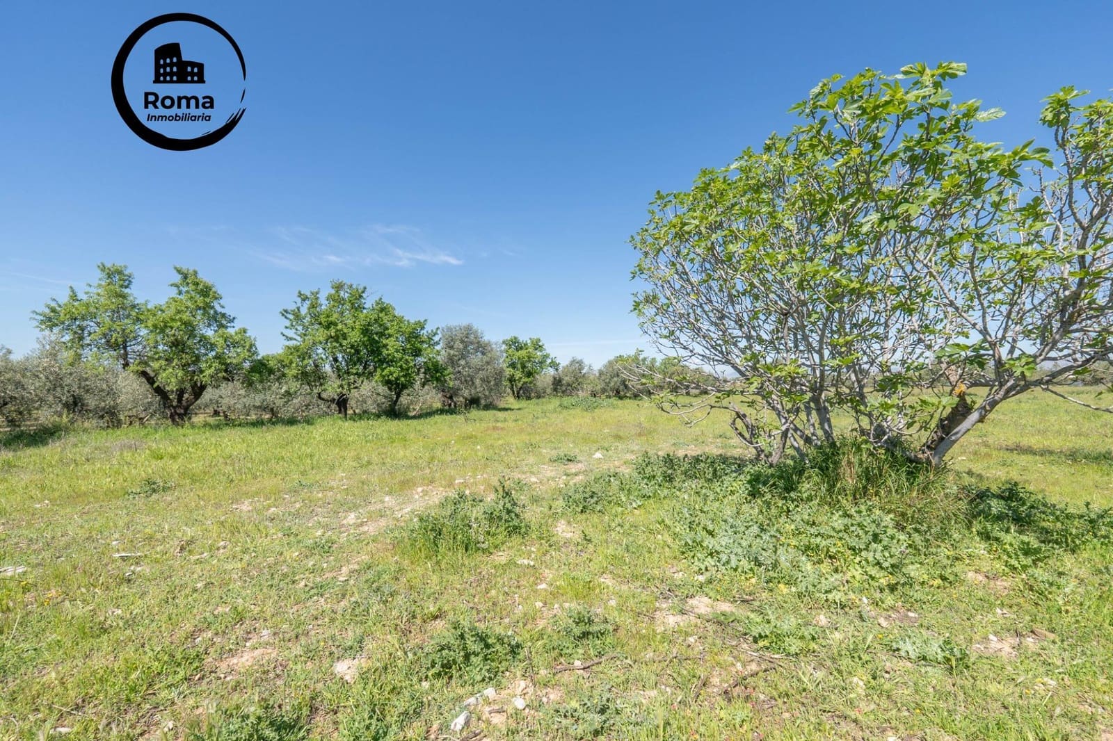 Terreno/Finca Rústica en Otura en venta - 60.000 € (Ref: 9825399)