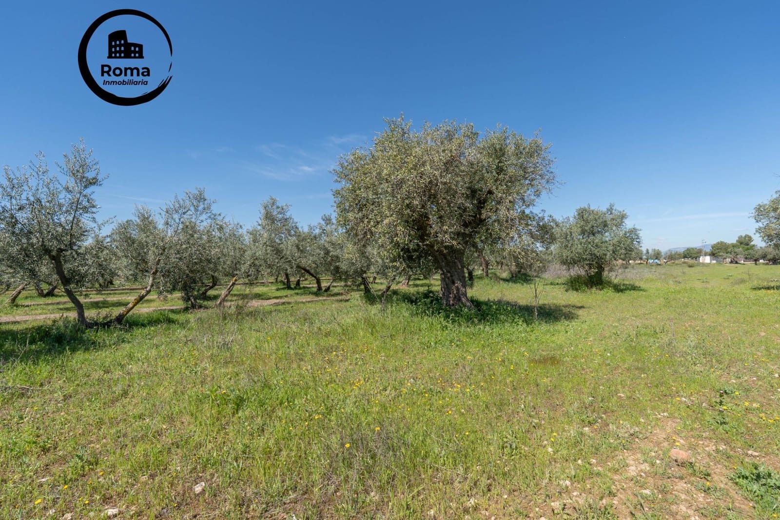 Terreno/Finca Rústica en Otura en venta - 60.000 € (Ref: 9825399)