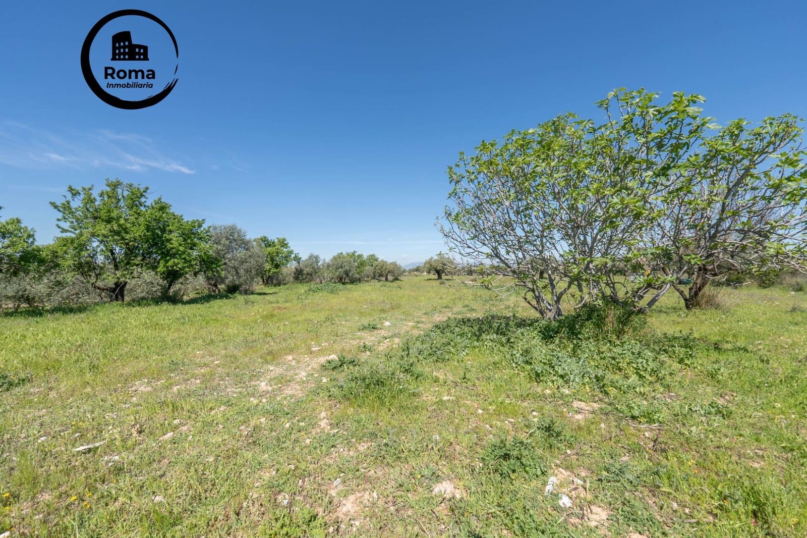 Terreno/Finca Rústica en Otura en venta - 60.000 € (Ref: 9825399)