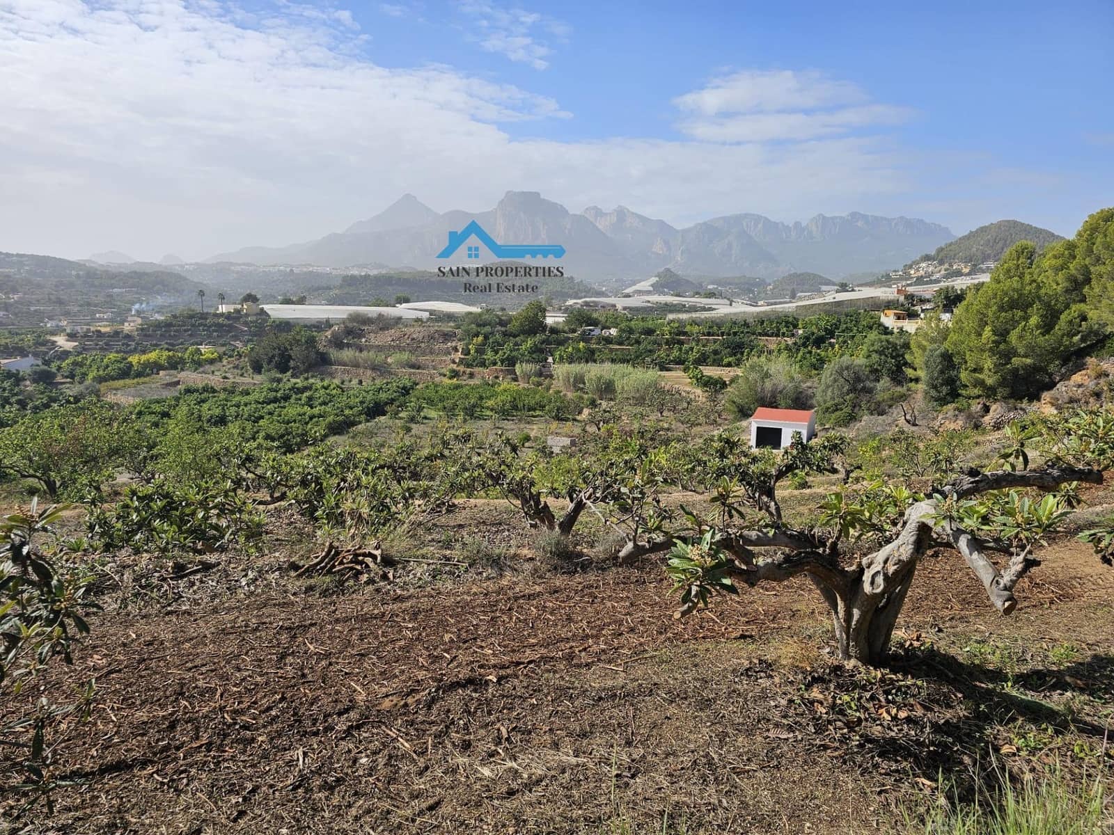 Ubebygd land til salgs i Callosa d'En Sarria - € 157 000 (Ref: 8751150)