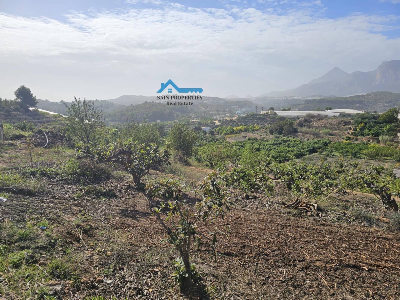 Ubebygd land til salgs i Callosa d'En Sarria - € 157 000 (Ref: 8751150)