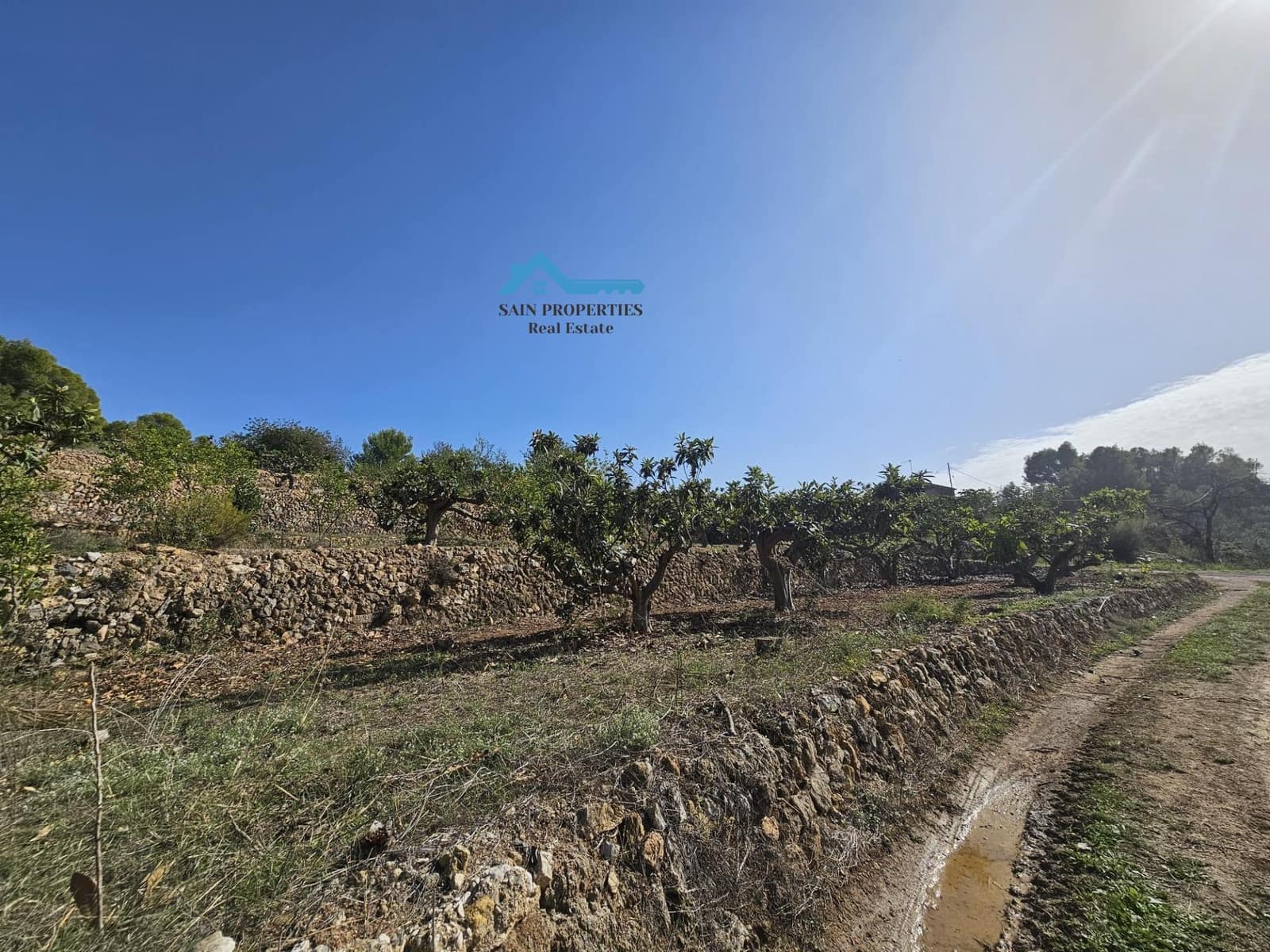 Ubebygd land til salgs i Callosa d'En Sarria - € 157 000 (Ref: 8751150)