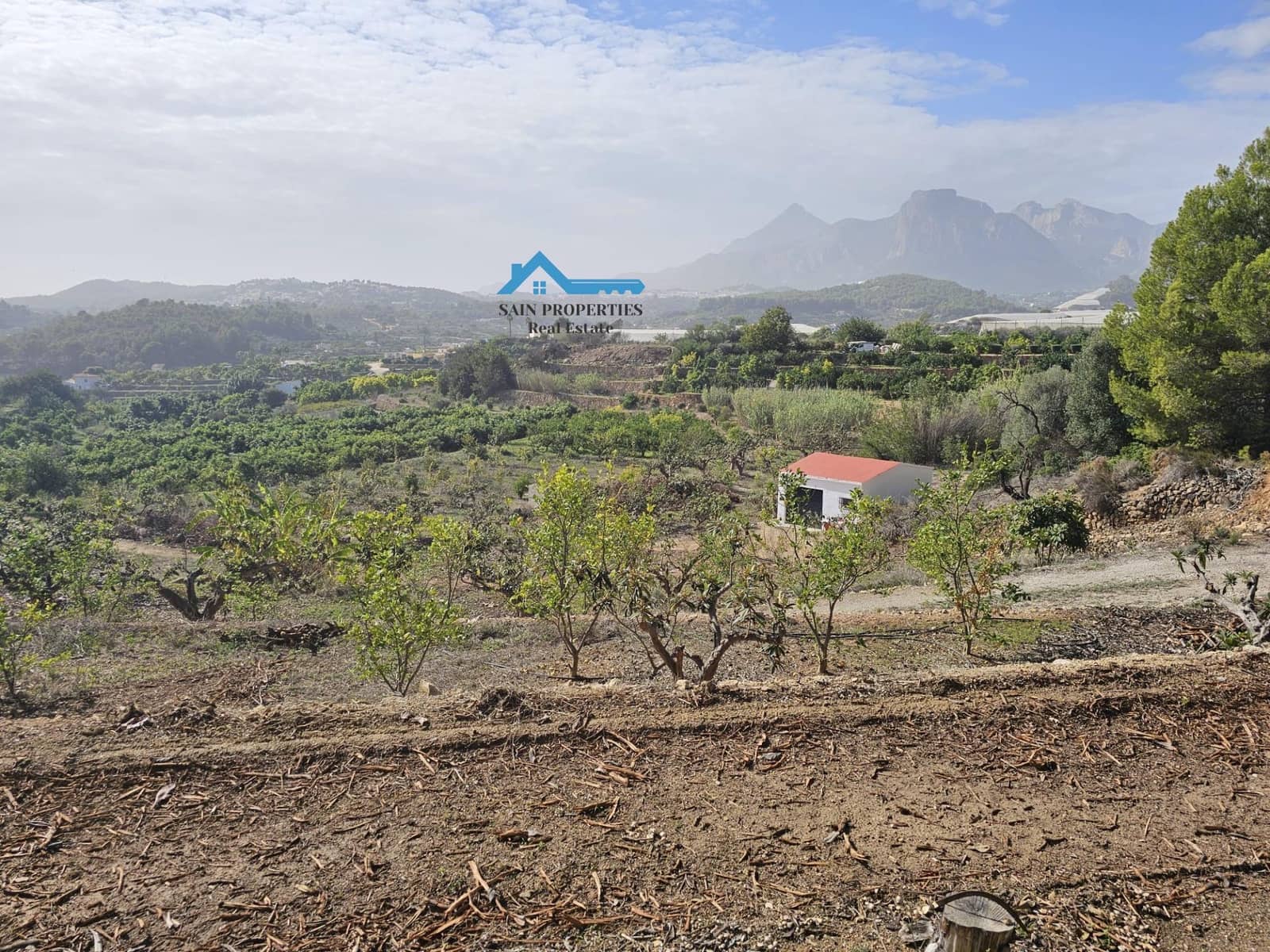 Ubebygd land til salgs i Callosa d'En Sarria - € 157 000 (Ref: 8751150)