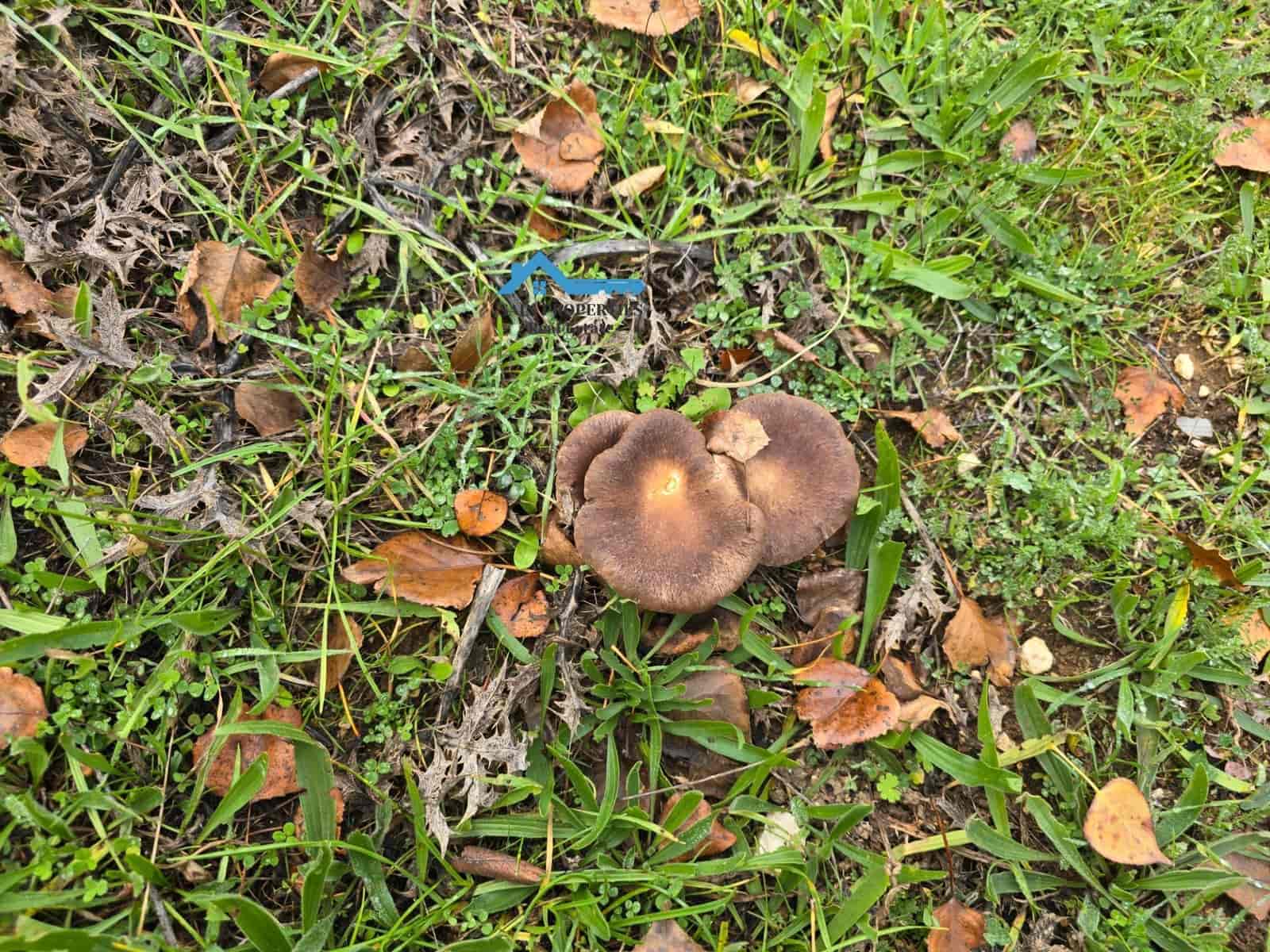 2 makuuhuone Maalaistalo myytävänä paikassa Confrides - 127 900 € (Ref: 8751157)