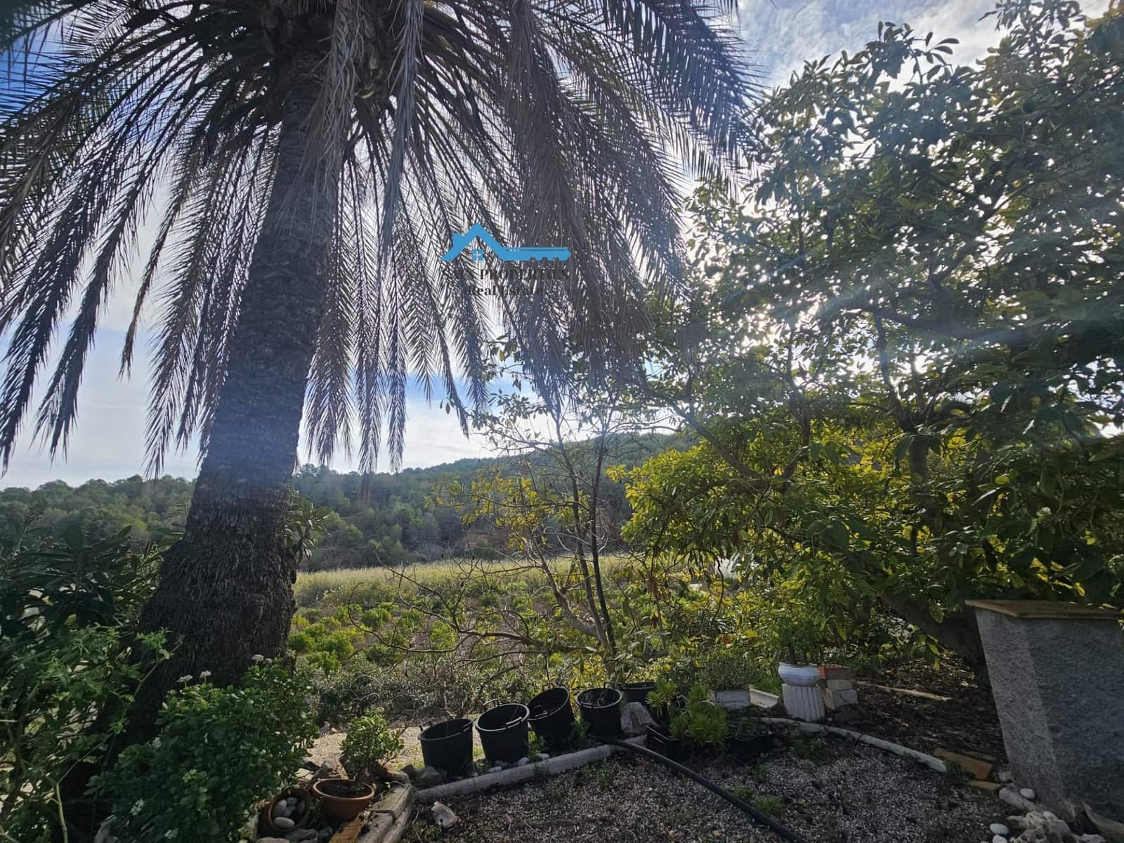 Finca/Casa Rural de 1 habitación en Callosa d'En Sarrià en venta con garaje - 270.000 € (Ref: 9481181)