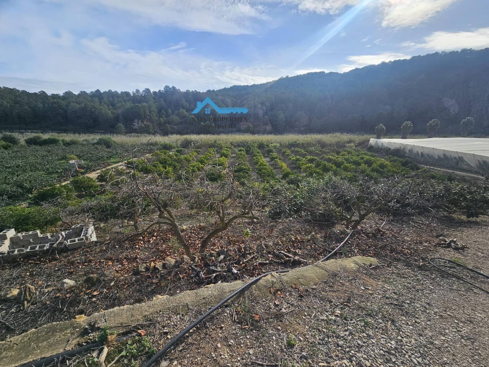 Finca/Casa Rural de 1 habitación en Callosa d'En Sarrià en venta con garaje - 270.000 € (Ref: 9481181)