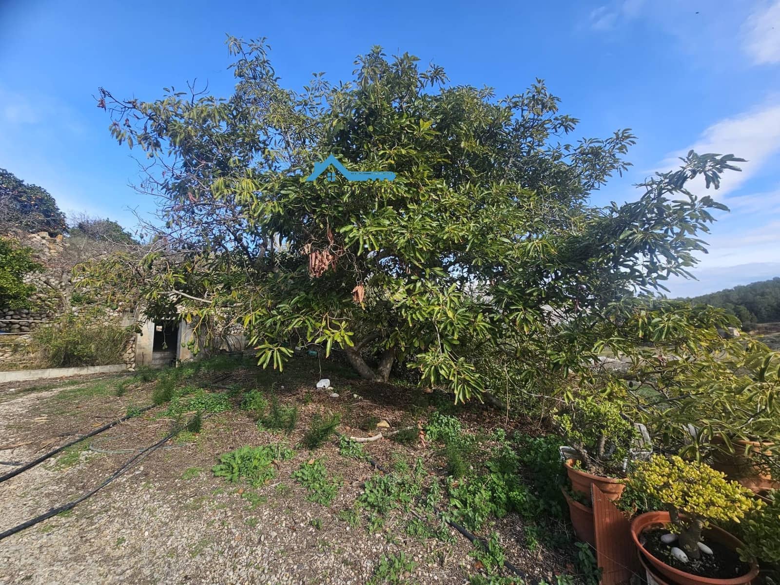 Finca/Casa Rural de 1 habitación en Callosa d'En Sarrià en venta con garaje - 270.000 € (Ref: 9481181)