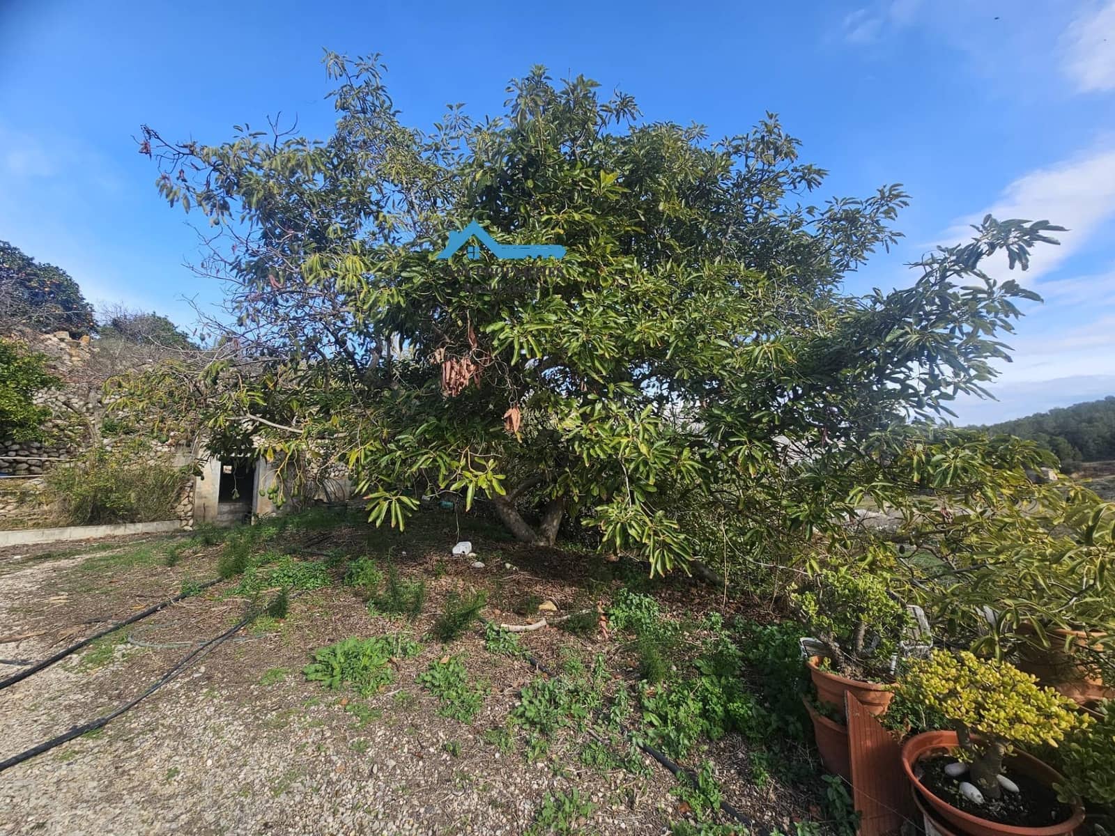 1 bedroom Finca/Country House for sale in Callosa d'En Sarria - € 320,000 (Ref: 9518874)