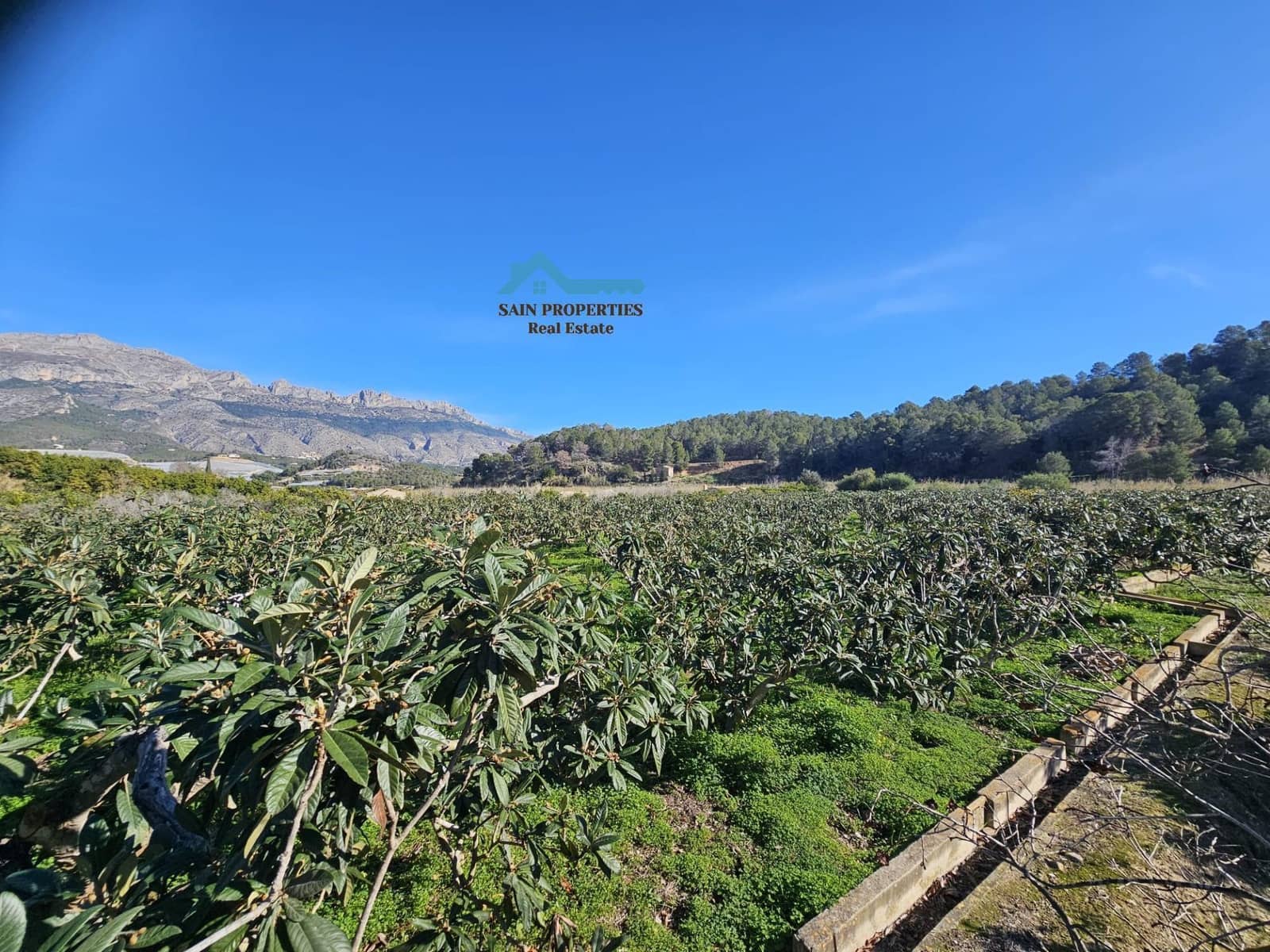 1 bedroom Finca/Country House for sale in Callosa d'En Sarria - € 320,000 (Ref: 9518874)