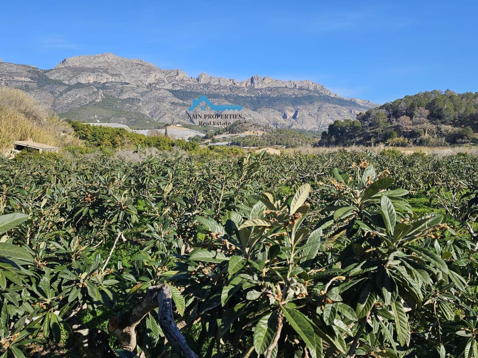 Terreno/Finca Rústica en Altea en venta - 50.000 € (Ref: 9518876)