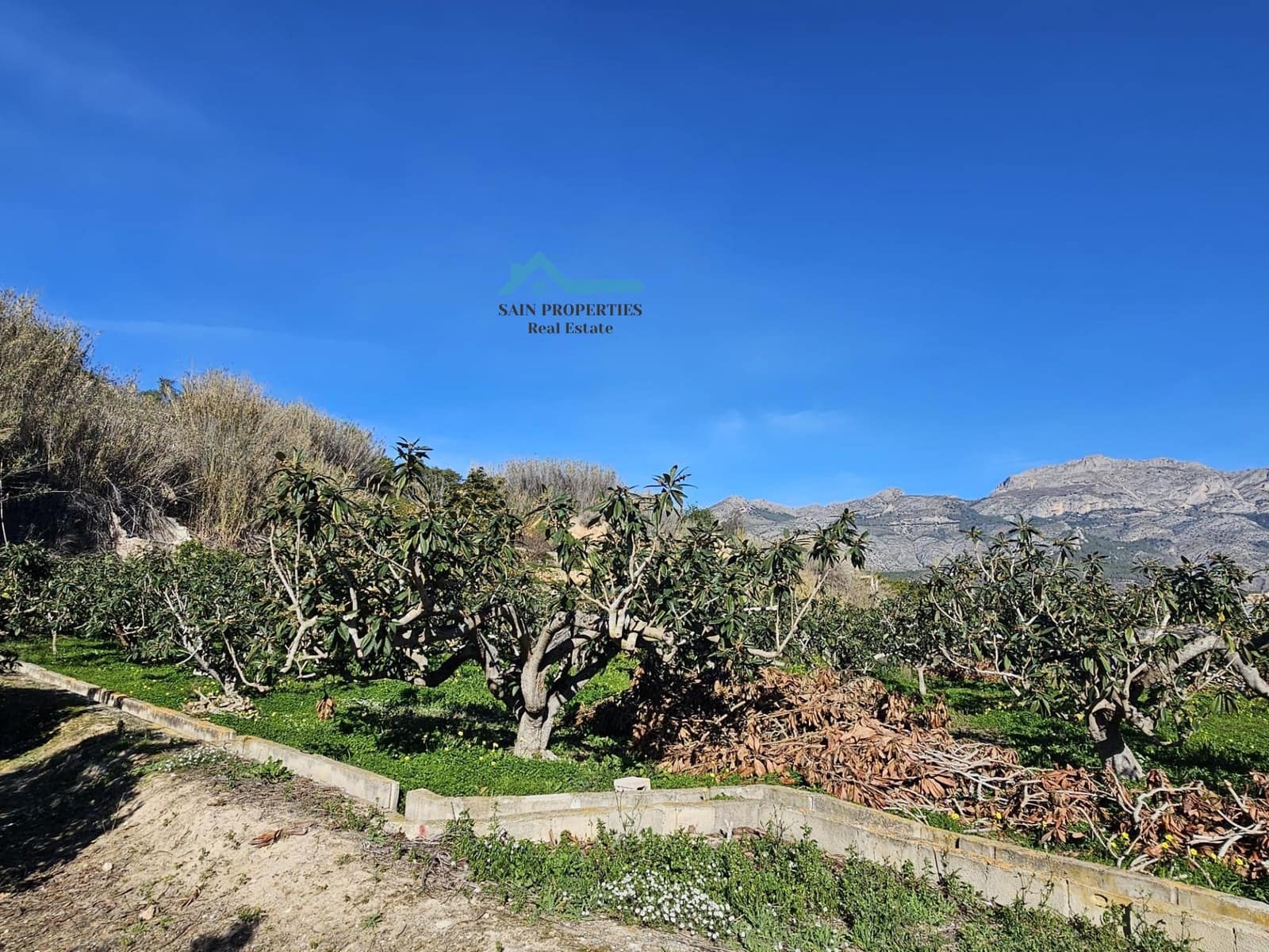 Terreno/Finca Rústica en Altea en venta - 50.000 € (Ref: 9518876)