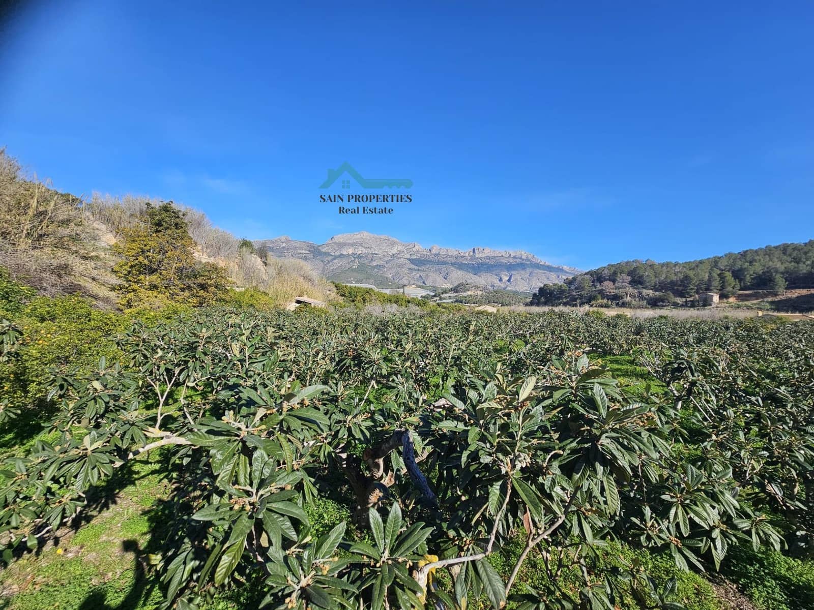 Terreno/Finca Rústica en Altea en venta - 50.000 € (Ref: 9518876)