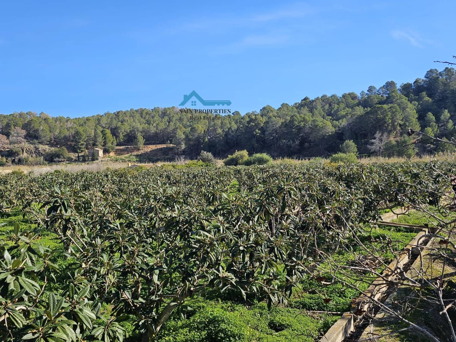 Terreno/Finca Rústica en Altea en venta - 50.000 € (Ref: 9518876)
