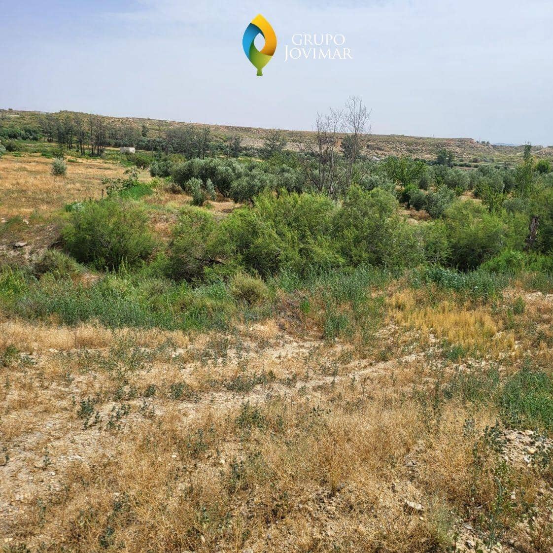 Ubebygd land til salgs i Caniles - € 101 000 (Ref: 8020944)