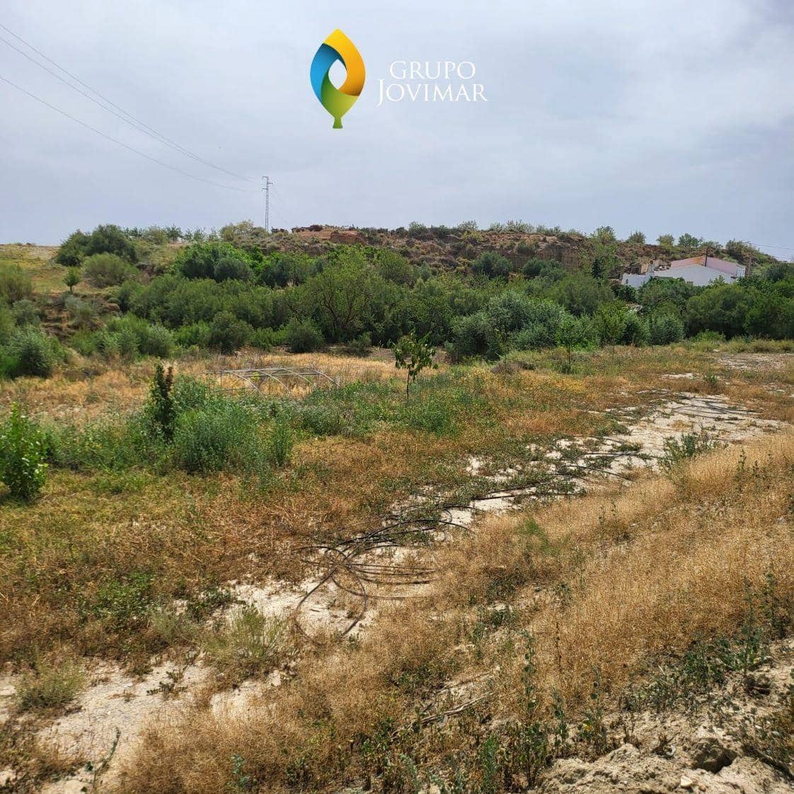 Ubebygd land til salgs i Caniles - € 101 000 (Ref: 8020944)