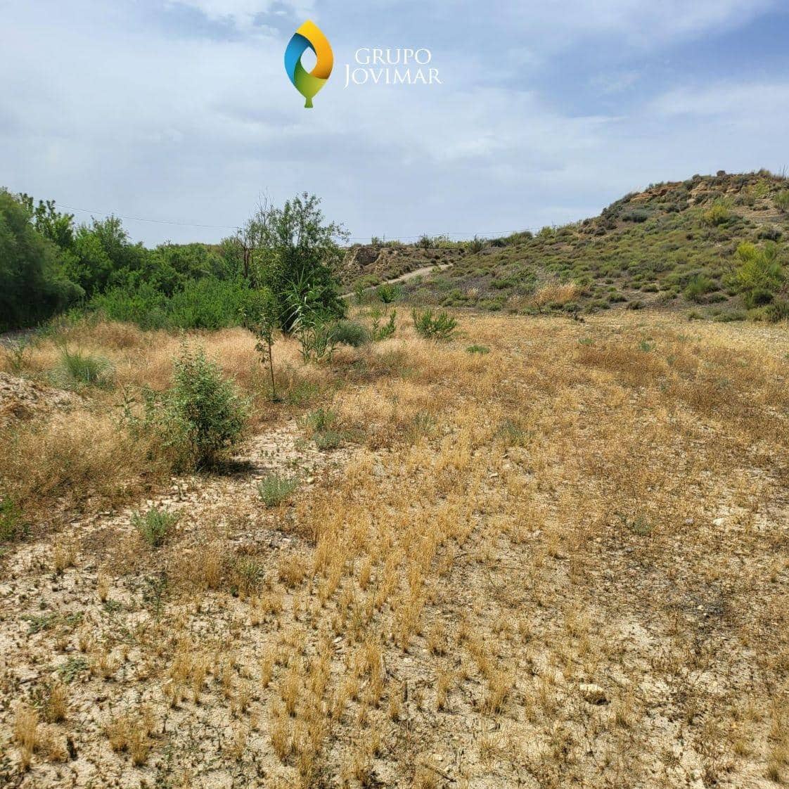 Ubebygd land til salgs i Caniles - € 101 000 (Ref: 8020944)