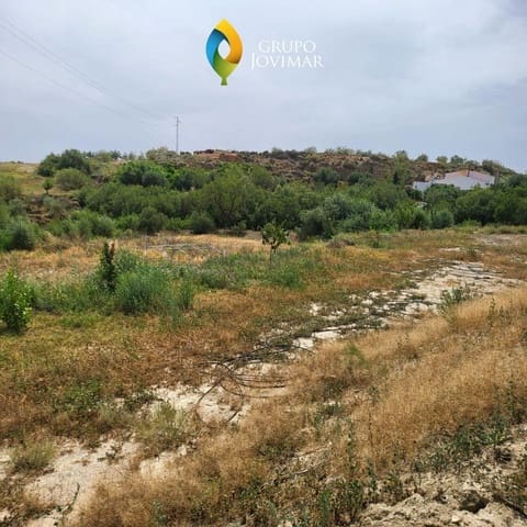 Undeveloped Land for sale in Caniles - € 101,000 (Ref: 8020944)
