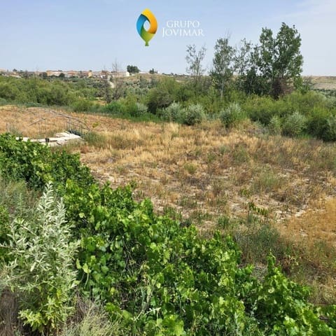 Undeveloped Land for sale in Caniles - € 101,000 (Ref: 8020944)