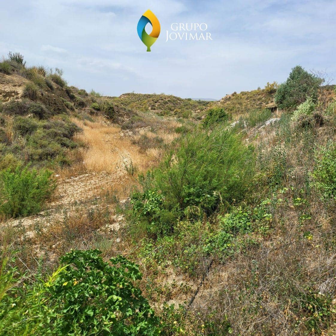 Ubebygd land til salgs i Caniles - € 101 000 (Ref: 8020944)