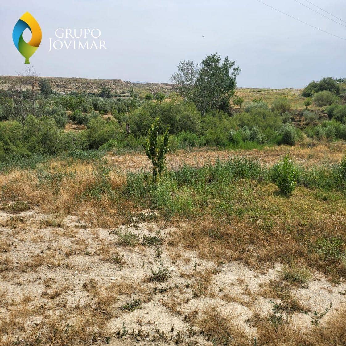 Ubebygd land til salgs i Caniles - € 101 000 (Ref: 8020944)