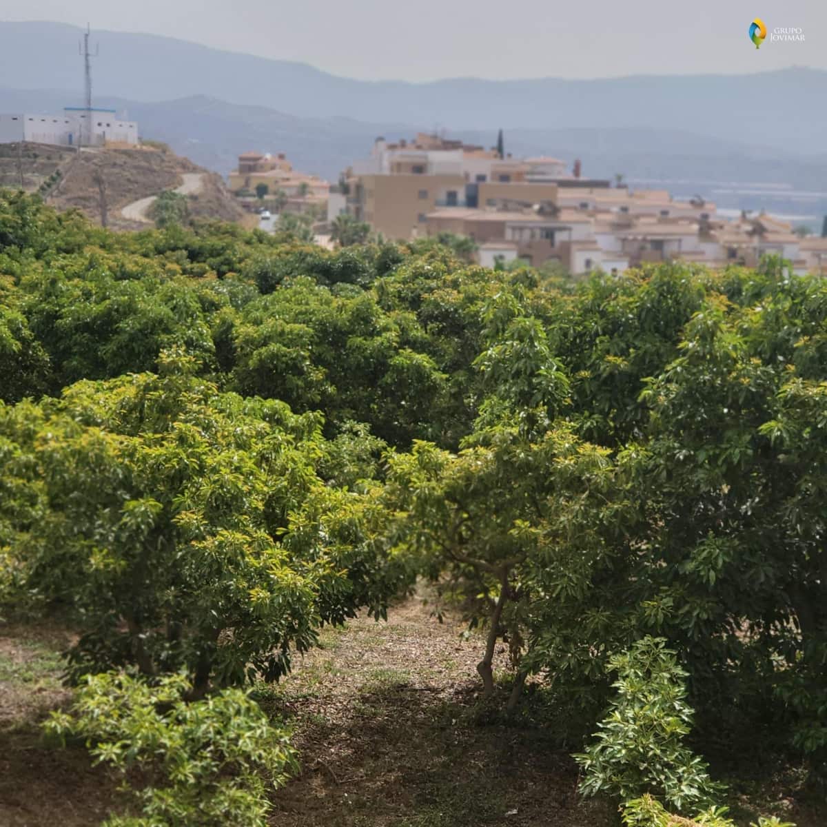 Landgrundstück zu verkaufen in Motril - 450.000 € (Ref: 8020946)