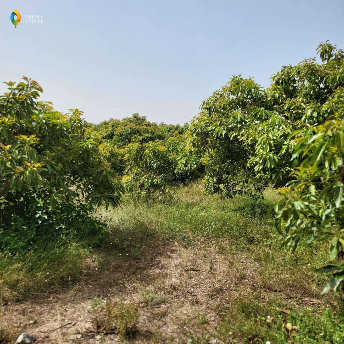 Landgrundstück zu verkaufen in Motril - 450.000 € (Ref: 8020946)