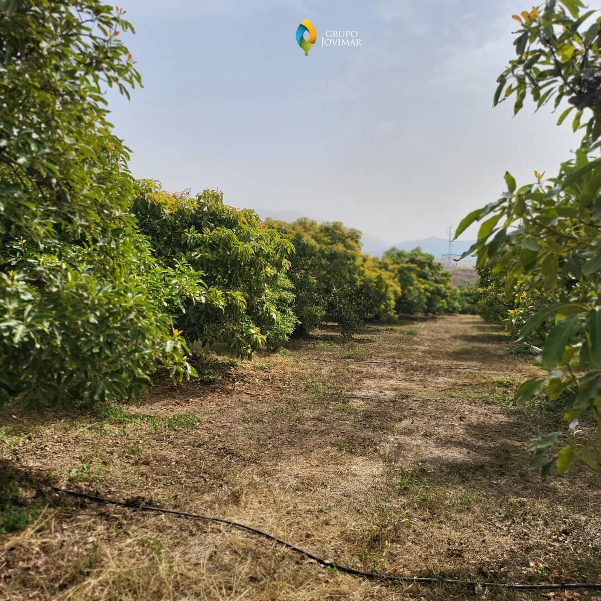 Landgrundstück zu verkaufen in Motril - 450.000 € (Ref: 8020946)