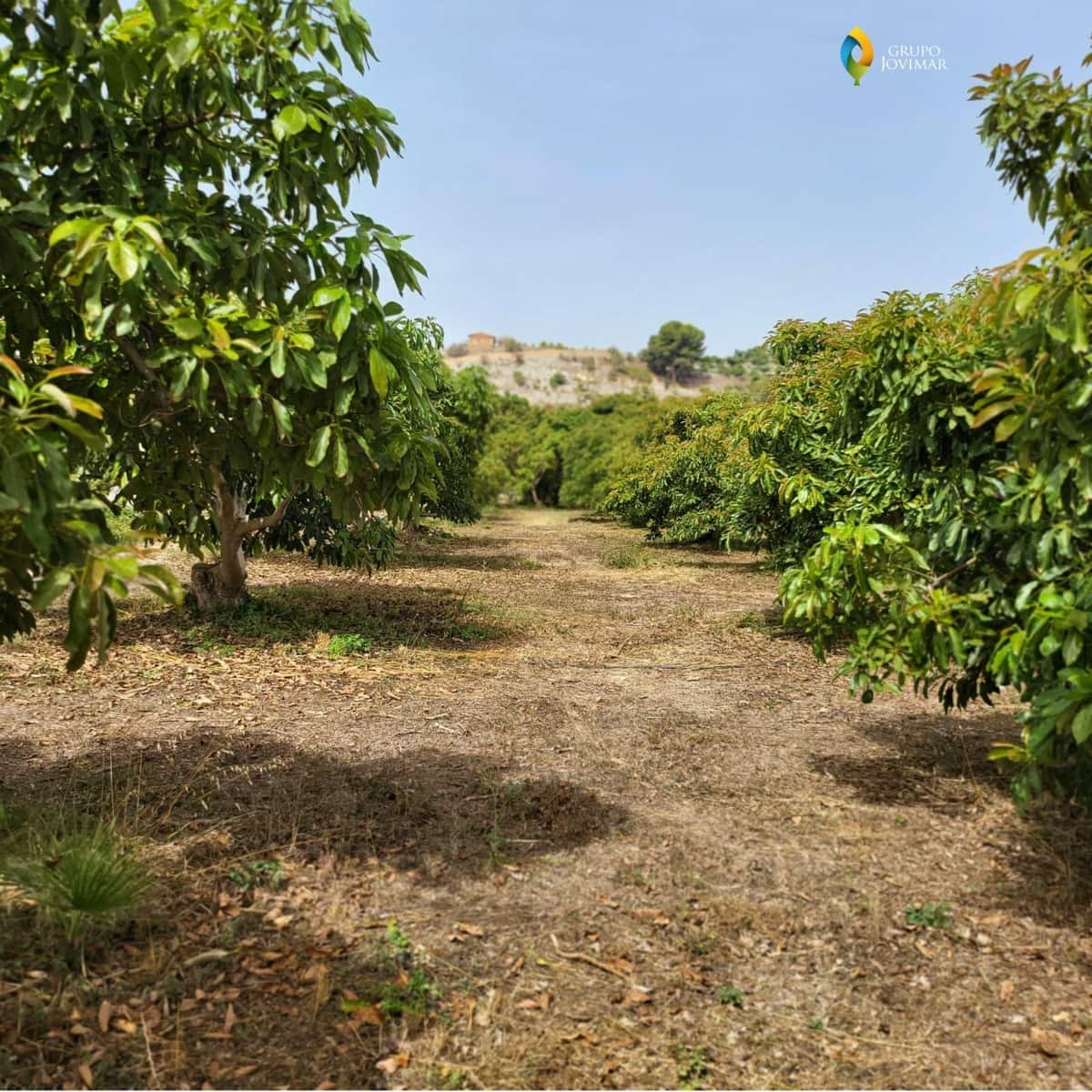 Landgrundstück zu verkaufen in Motril - 450.000 € (Ref: 8020946)