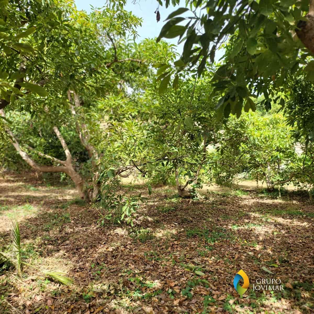 Landgrundstück zu verkaufen in Motril - 450.000 € (Ref: 8020946)