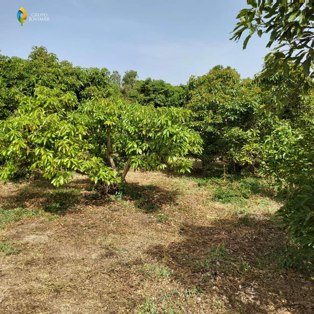 Landgrundstück zu verkaufen in Motril - 450.000 € (Ref: 8020946)