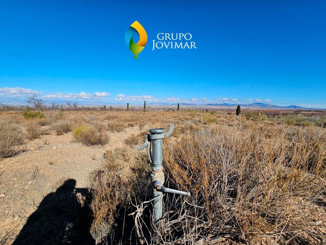 Grunde uden byggetilladelser til leje i Caniles - € 600 (Ref: 8020950)