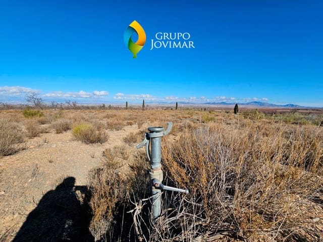 Rakentamaton maa vuokrattavana paikassa Caniles - 600 € (Ref: 8020950)