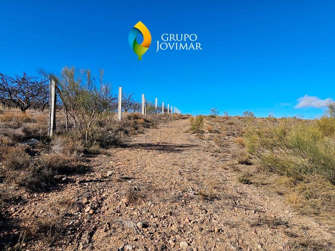 Grunde uden byggetilladelser til leje i Caniles - € 600 (Ref: 8020950)