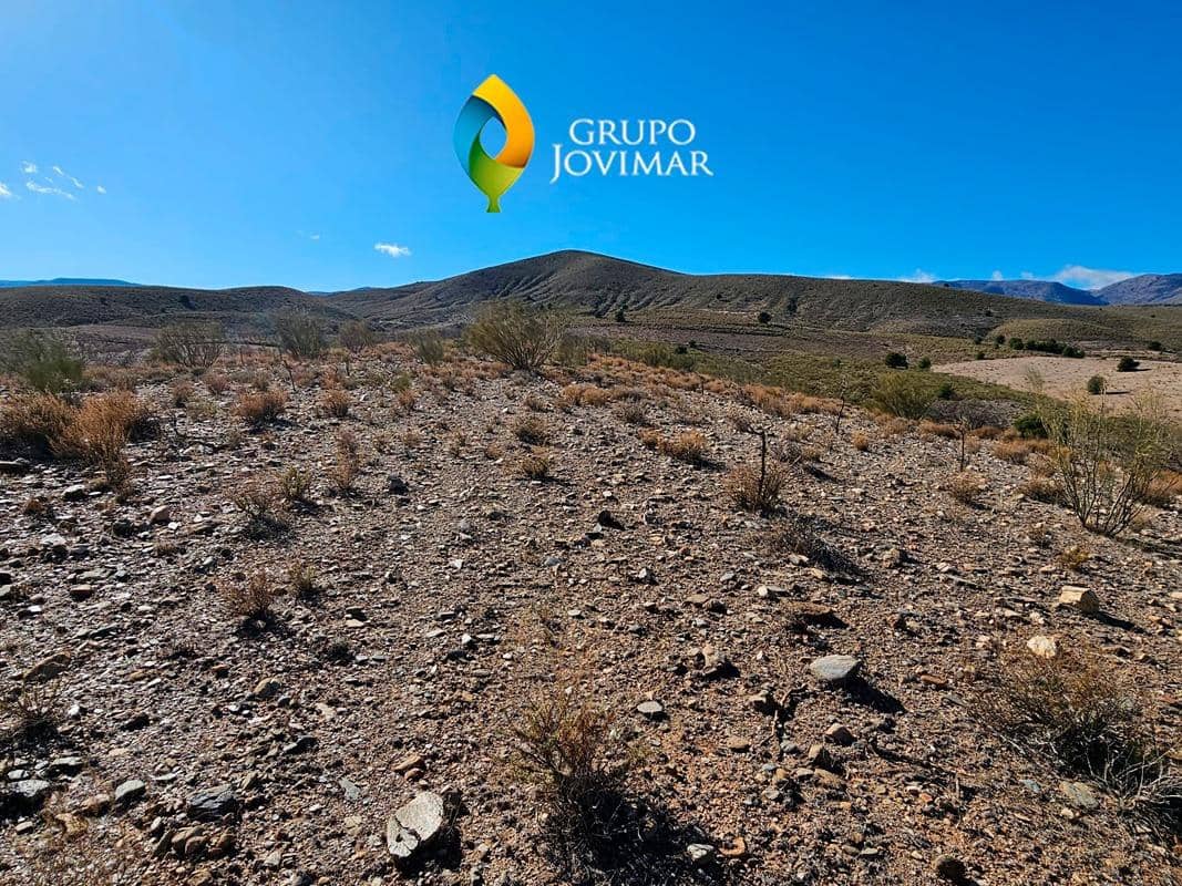 Grunde uden byggetilladelser til leje i Caniles - € 600 (Ref: 8020950)